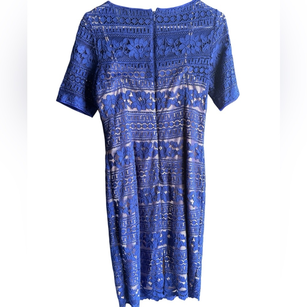 NWOT Adrianna Papell Corded Stripe Lace Sheath Dress in a royal blue 4P - Picture 5 of 13